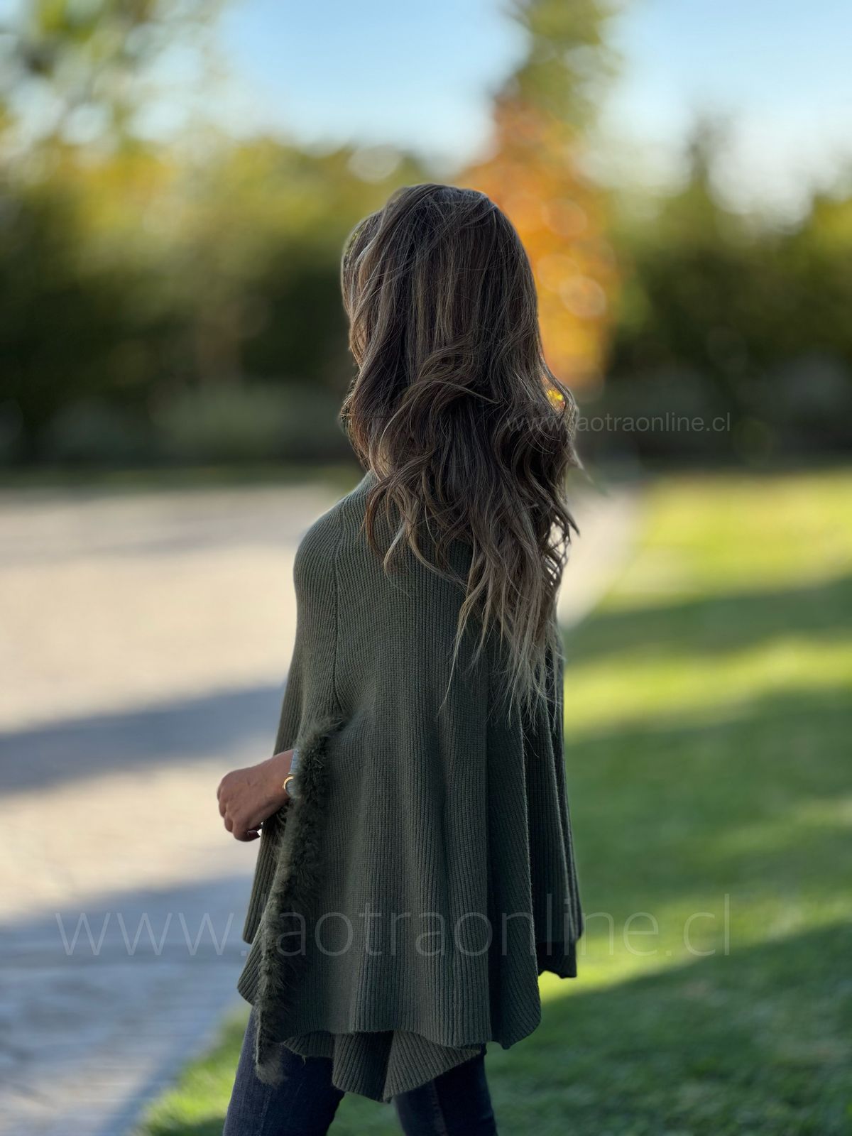 Poncho Alfonsina olivo