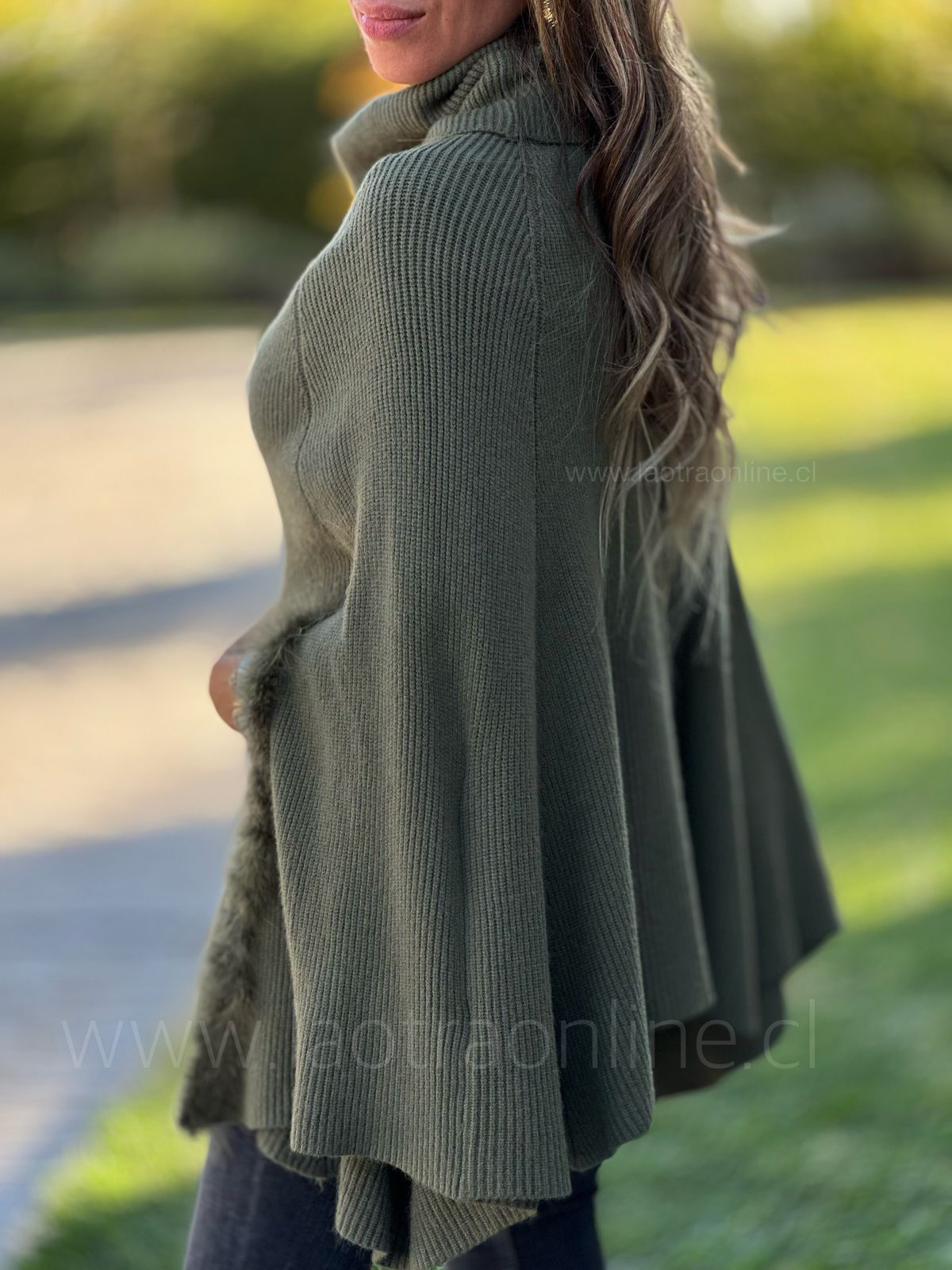 Poncho Alfonsina olivo