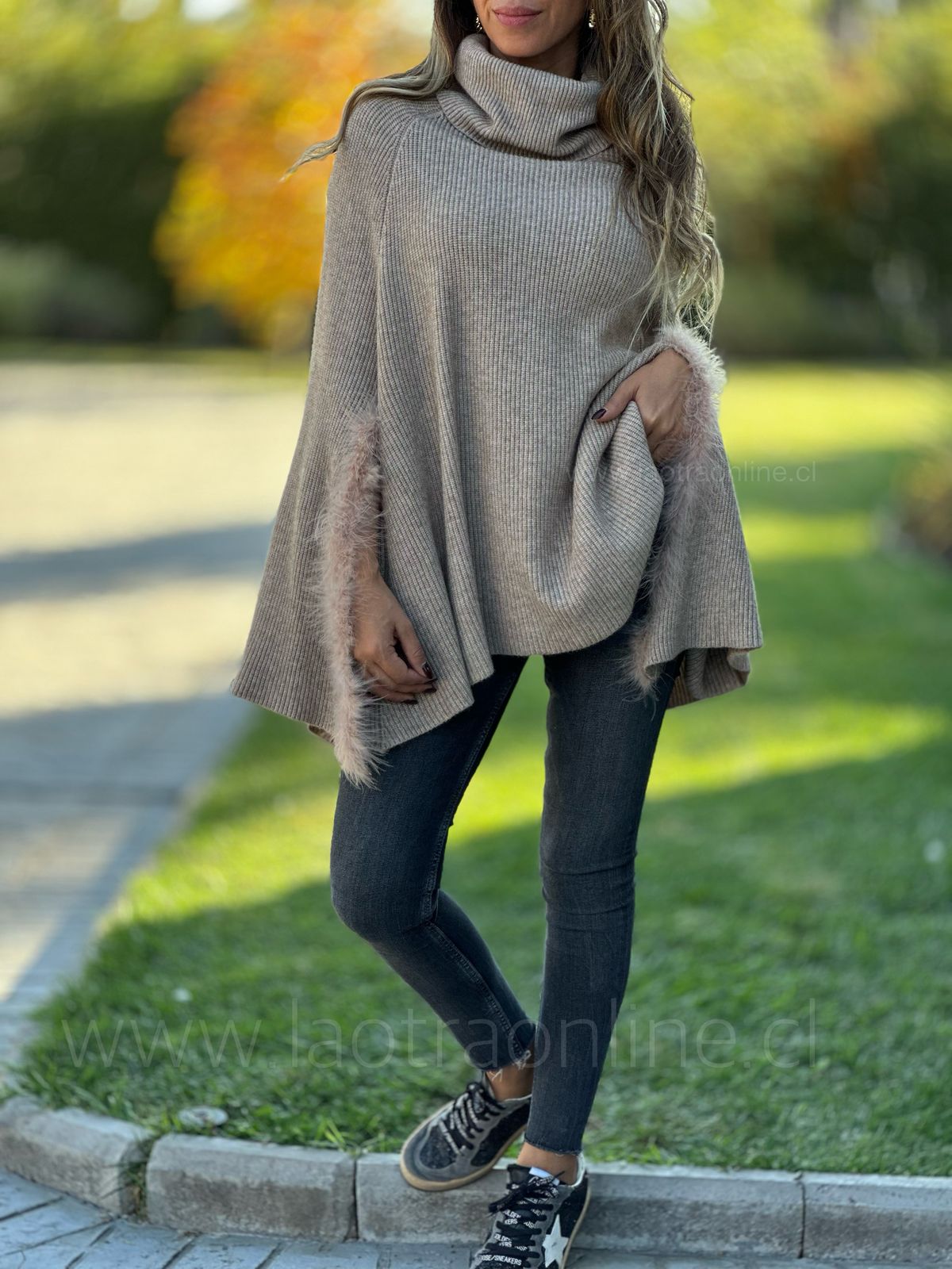 Poncho Alfonsina arena