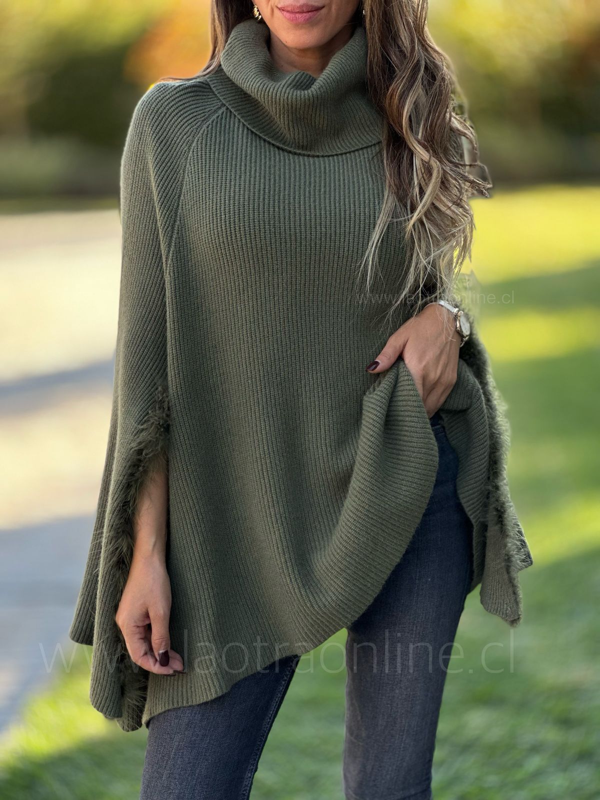 Poncho Alfonsina olivo