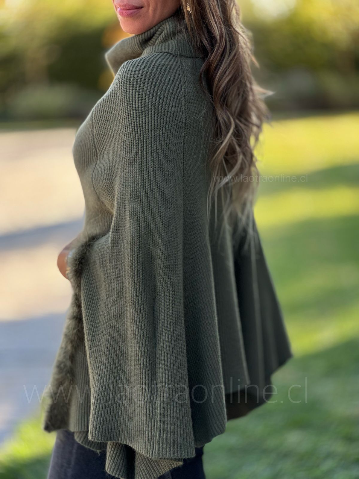Poncho Alfonsina olivo